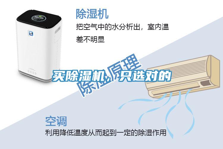 買除濕機,只選對的