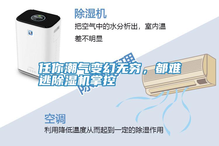 任你潮氣變幻無窮,都難逃除濕機掌控
