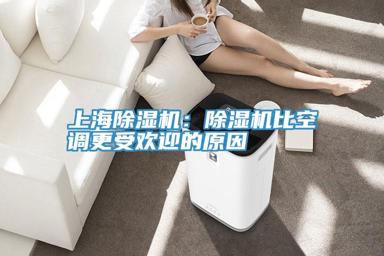 上海除濕機:除濕機比空調更受歡迎的原因