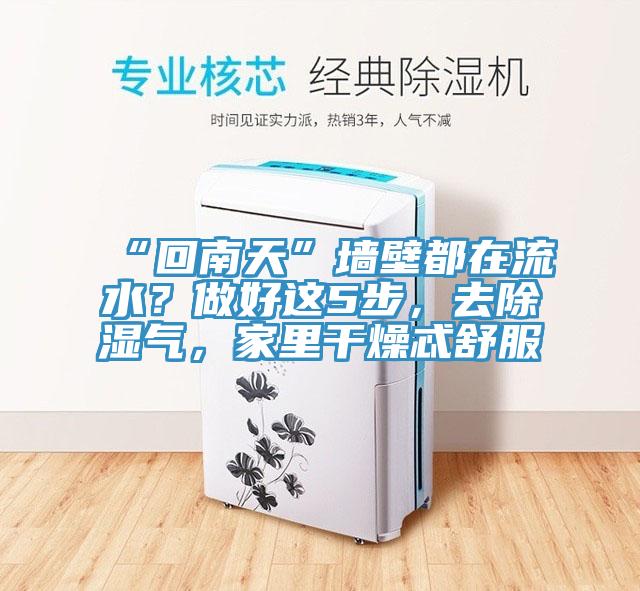 “回南天”墻壁都在流水?做好這5步,去除濕氣,家里干燥忒舒服