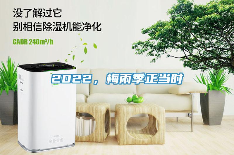 2022,梅雨季正當時