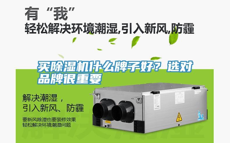 買除濕機什么牌子好?選對品牌很重要