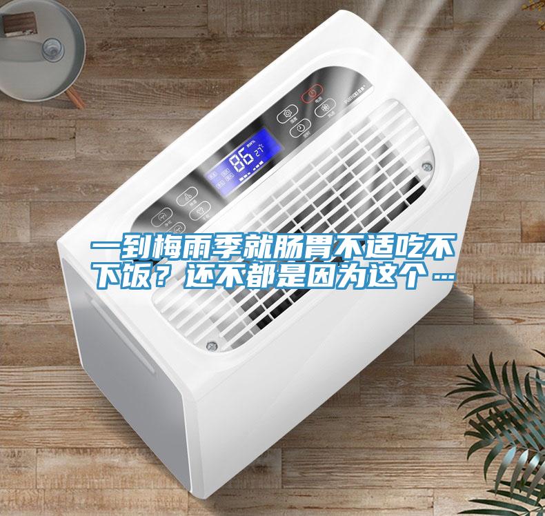 一到梅雨季就腸胃不適吃不下飯?還不都是因為這個…