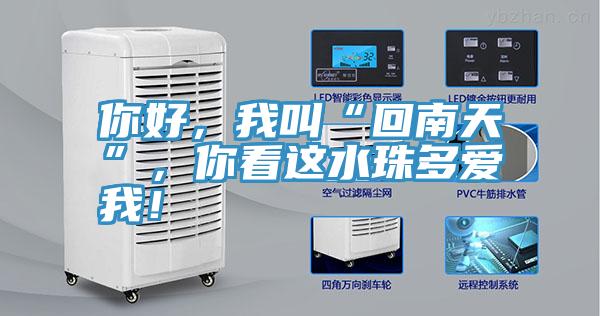 你好，我叫“回南天”，你看這水珠多愛我！
