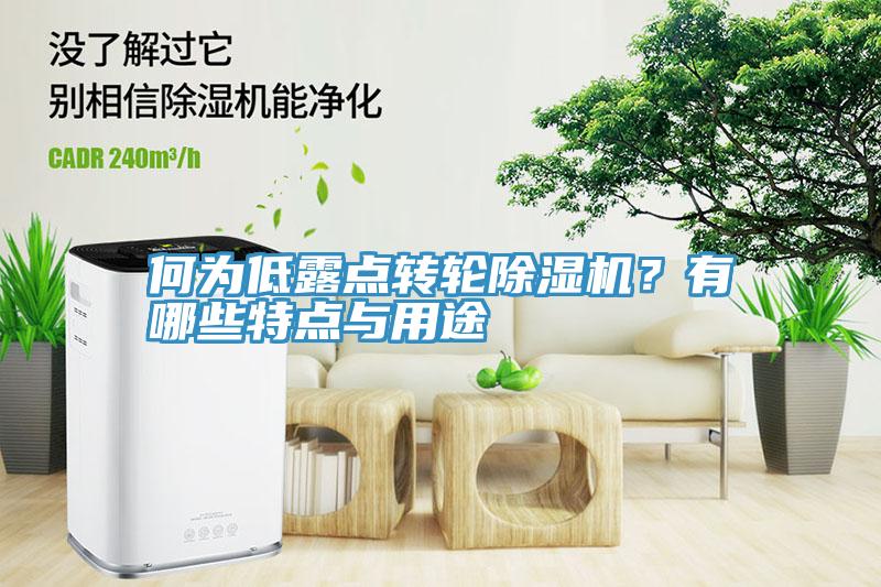 何為低露點轉輪除濕機?有哪些特點與用途