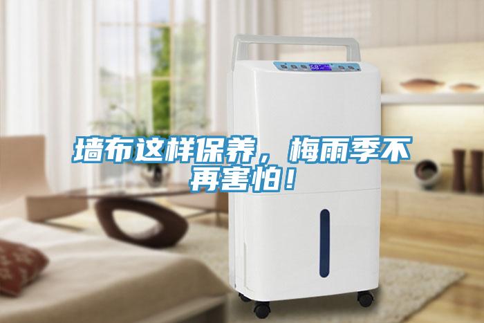 墻布這樣保養，梅雨季不再害怕！