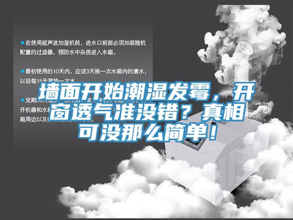墻面開始潮濕發霉,開窗透氣準沒錯?真相可沒那么簡單!