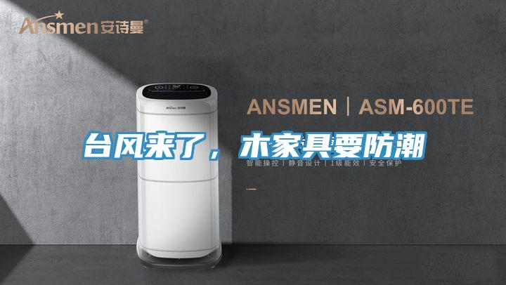 臺(tái)風(fēng)來了，木家具要防潮