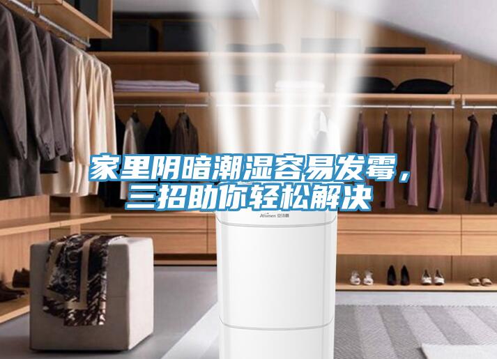 家里陰暗潮濕容易發霉,三招助你輕松解決