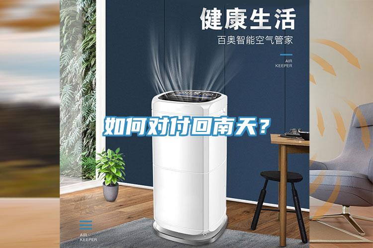 如何對付回南天？