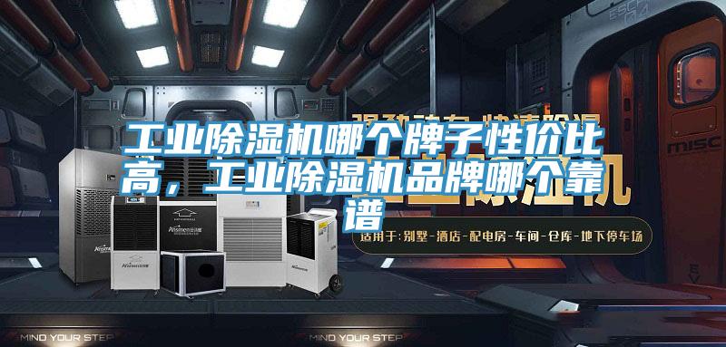 工業(yè)除濕機(jī)哪個(gè)牌子性價(jià)比高，工業(yè)除濕機(jī)品牌哪個(gè)靠譜