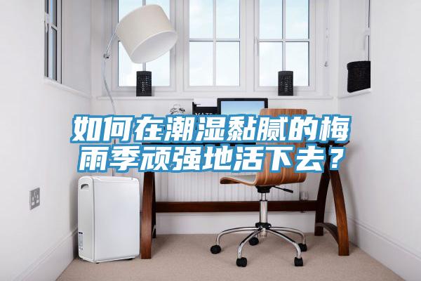 如何在潮濕黏膩的梅雨季頑強地活下去?