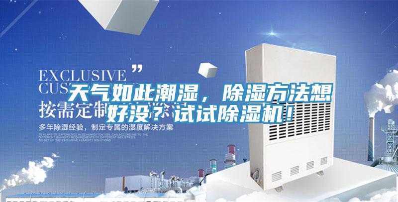 天氣如此潮濕，除濕方法想好沒？試試除濕機！
