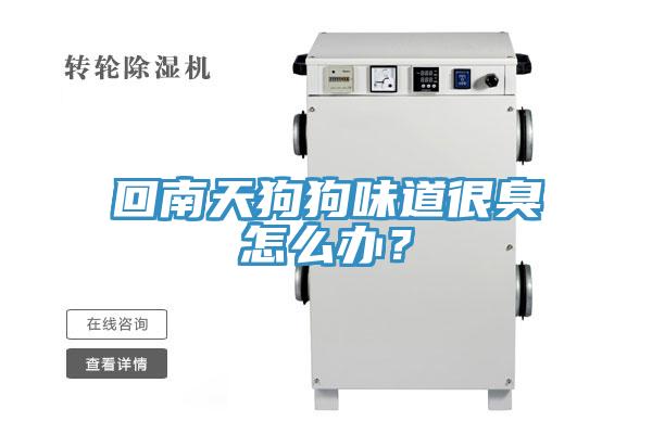 回南天狗狗味道很臭怎么辦?