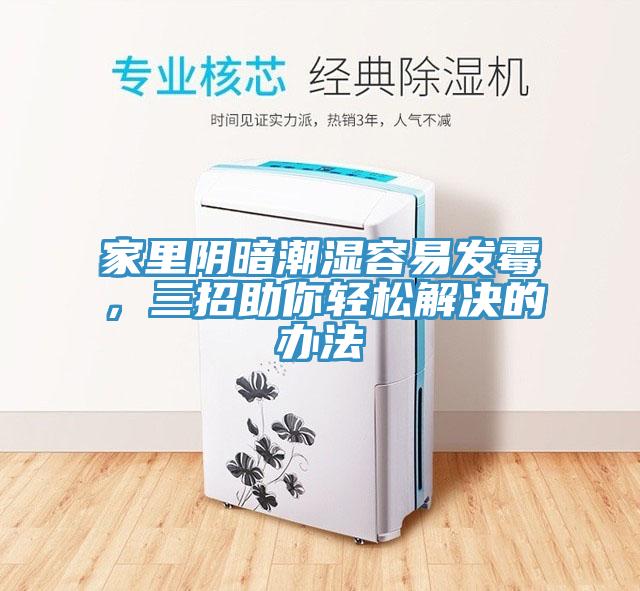家里陰暗潮濕容易發霉,三招助你輕松解決的辦法