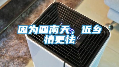 因為回南天,近鄉情更怯