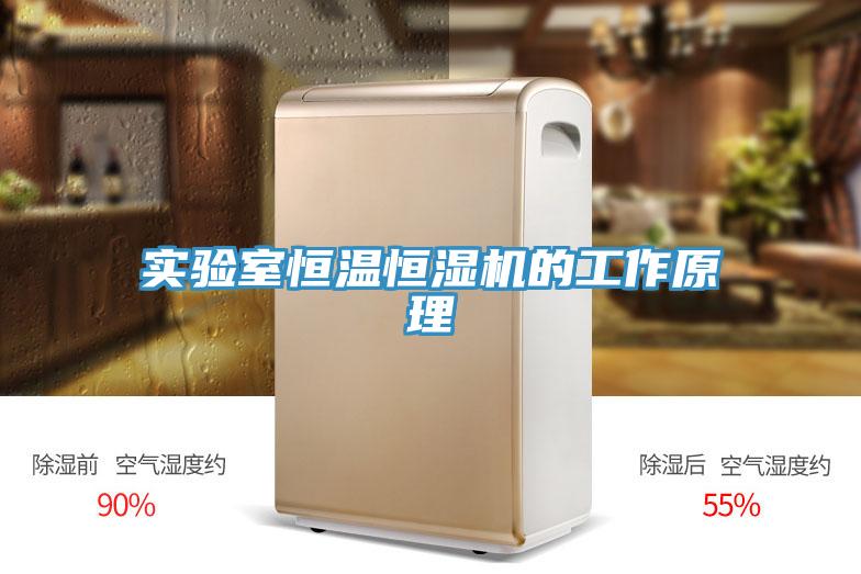 實驗室恒溫恒濕機的工作原理