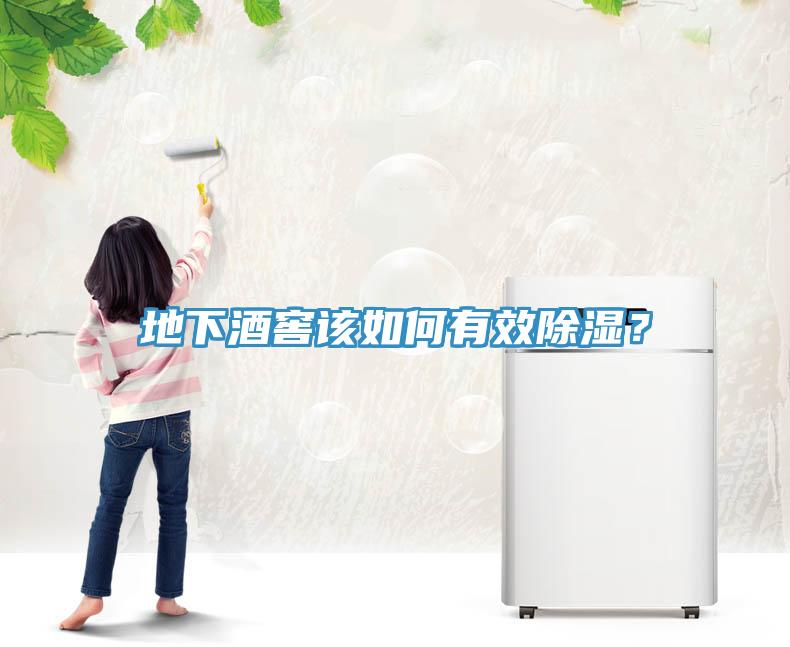 地下酒窖該如何有效除濕？