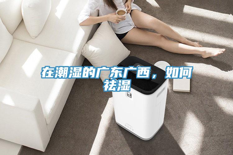 在潮濕的廣東廣西，如何祛濕