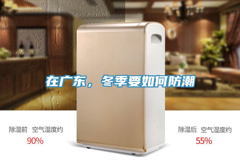 在廣東,冬季要如何防潮