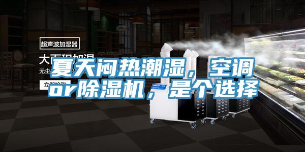 夏天悶熱潮濕，空調or除濕機，是個選擇