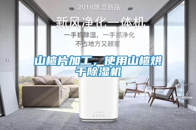 山楂片加工,使用山楂烘干除濕機(jī)