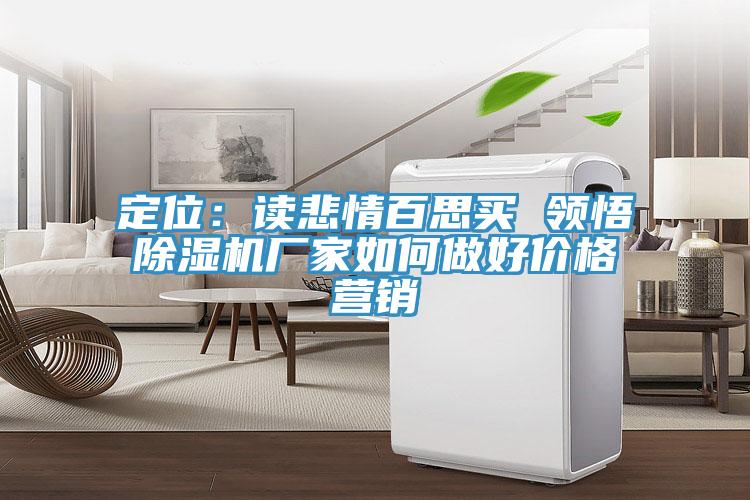 定位:讀悲情百思買 領悟除濕機廠家如何做好價格營銷
