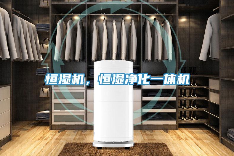 恒濕機,恒濕凈化一體機