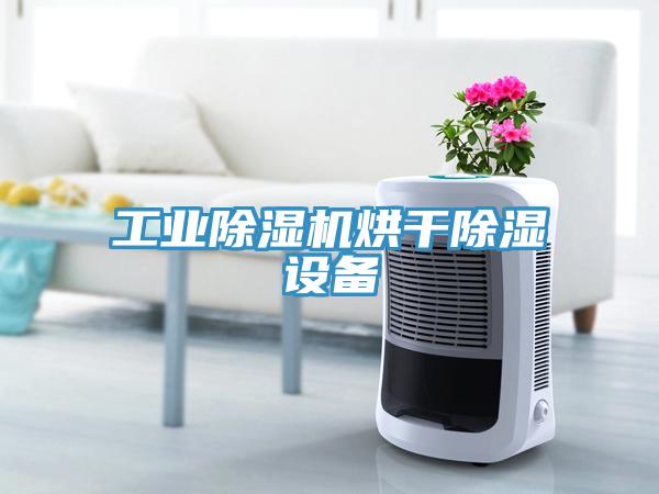 工業除濕機烘干除濕設備