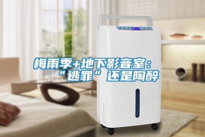 梅雨季+地下影音室:“逃罪”還是陶醉