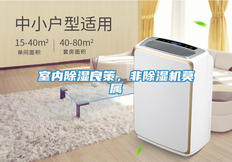 室內除濕良策，非除濕機莫屬