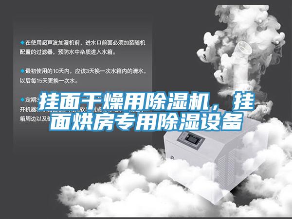 掛面干燥用除濕機,掛面烘房專用除濕設備