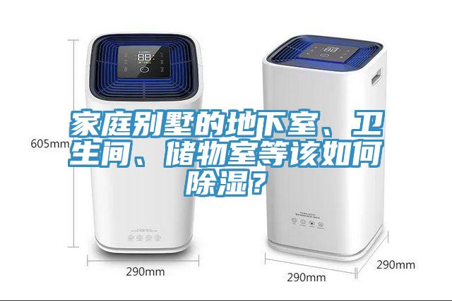 家庭別墅的地下室、衛生間、儲物室等該如何除濕?