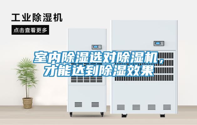 室內除濕選對除濕機,才能達到除濕效果