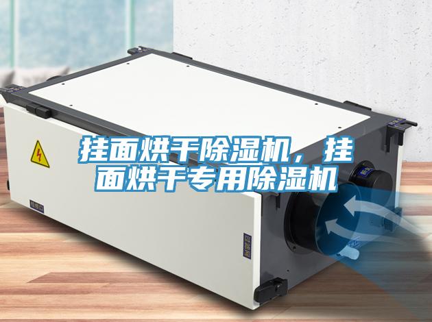 掛面烘干除濕機,掛面烘干專用除濕機