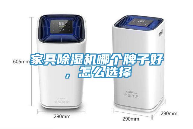 家具除濕機(jī)哪個(gè)牌子好,怎么選擇