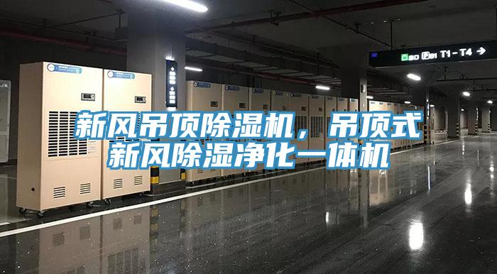 新風吊頂除濕機,吊頂式新風除濕凈化一體機
