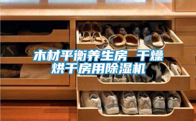 木材平衡養生房 干燥烘干房用除濕機