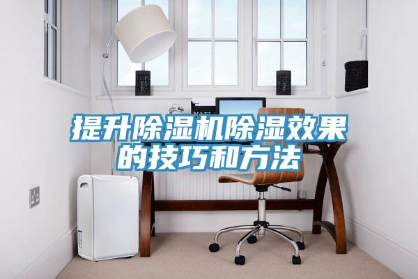 提升除濕機除濕效果的技巧和方法