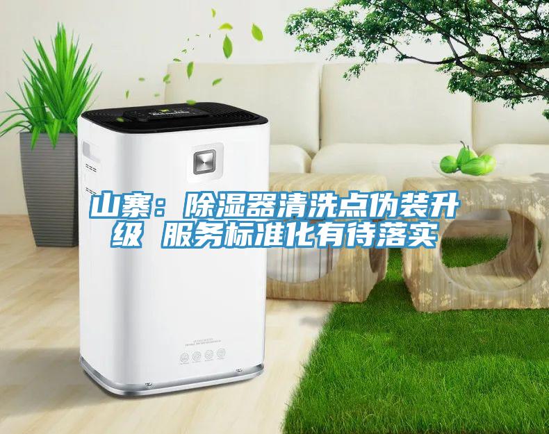山寨：除濕器清洗點偽裝升級 服務(wù)標(biāo)準(zhǔn)化有待落實