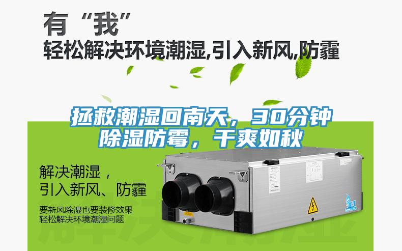 拯救潮濕回南天,30分鐘除濕防霉,干爽如秋
