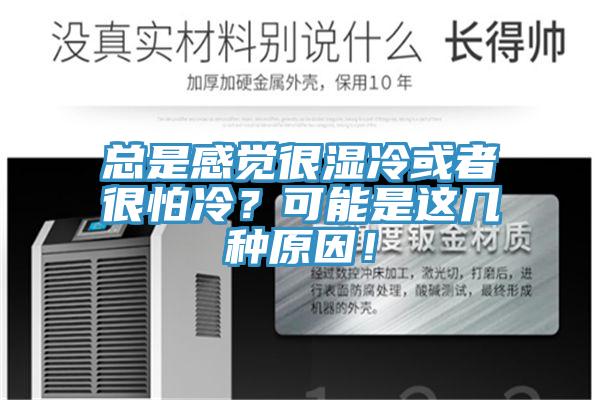 總是感覺很濕冷或者很怕冷?可能是這幾種原因!