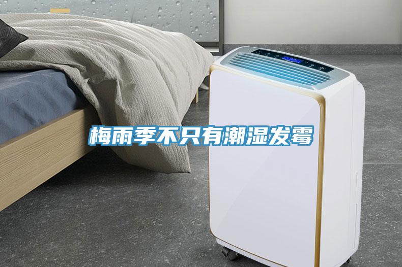 梅雨季不只有潮濕發霉