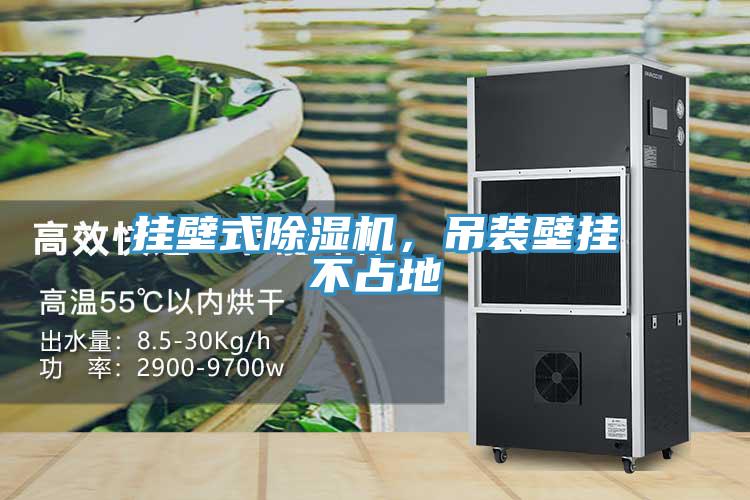 掛壁式除濕機,吊裝壁掛不占地