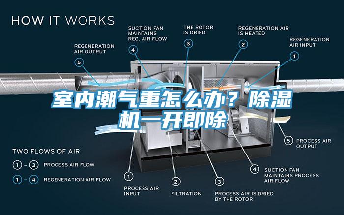 室內(nèi)潮氣重怎么辦？除濕機一開即除