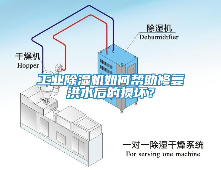 工業(yè)除濕機(jī)如何幫助修復(fù)洪水后的損壞？