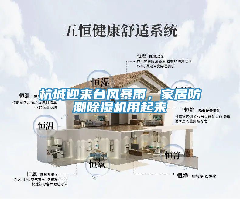 杭城迎來臺風(fēng)暴雨，家居防潮除濕機(jī)用起來