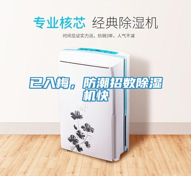 已入梅,防潮招數除濕機快