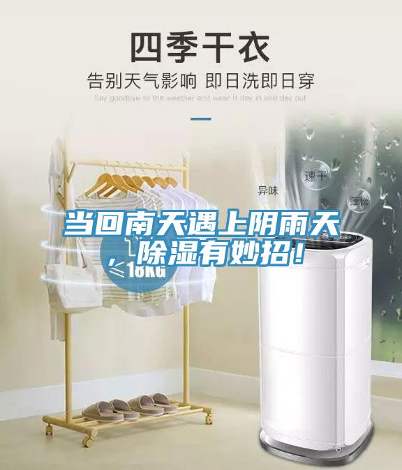 當回南天遇上陰雨天，除濕有妙招！