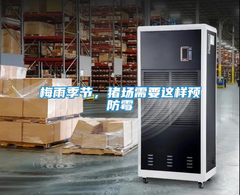 梅雨季節，豬場需要這樣預防霉